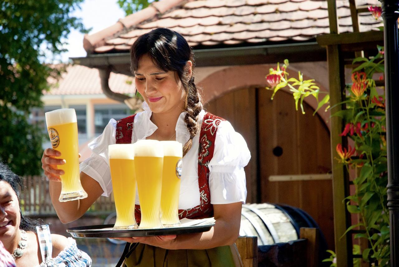 Landgasthaus Roemerhof Obernburg am Main Exterior foto